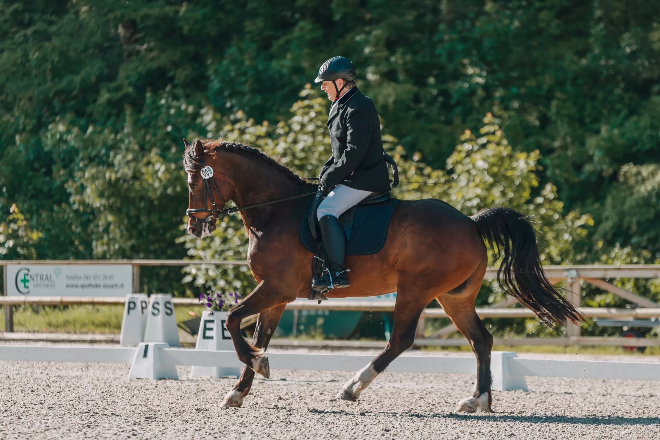 Matthias Klausener - Reiten und Reittherapie