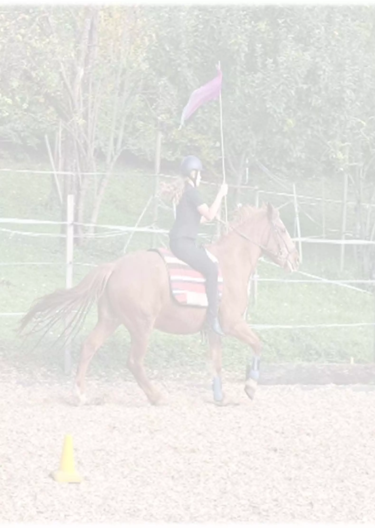 Osterpony-Pferdekurs für Kinder